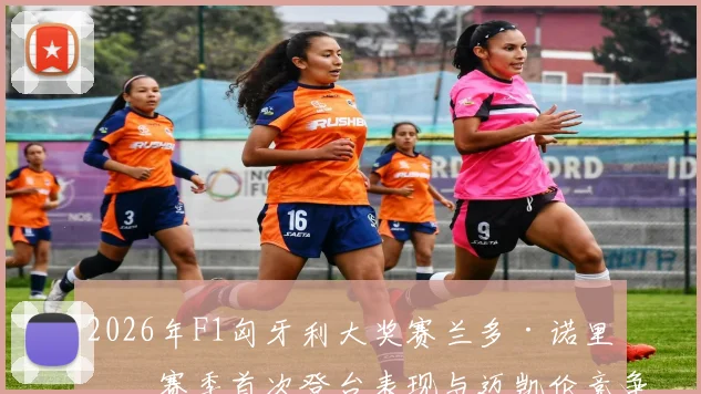 2026年F1匈牙利大奖赛兰多·诺里斯赛季首次登台表现与迈凯伦竞争力全面评估