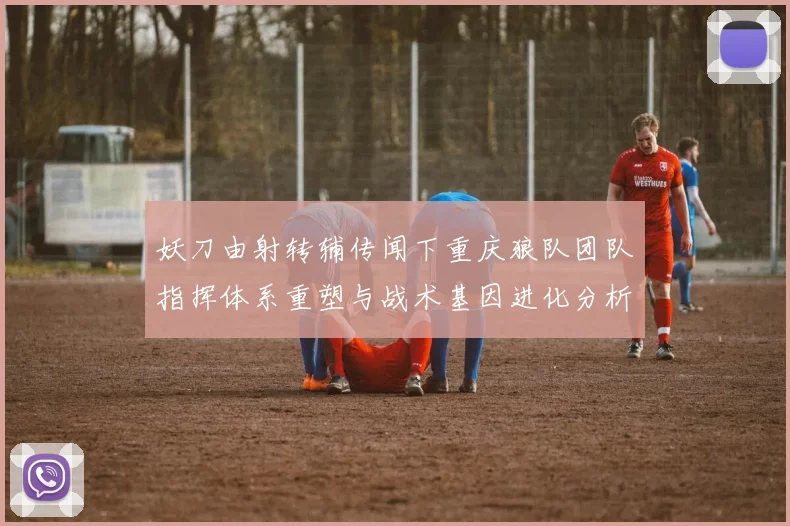 妖刀由射转辅传闻下重庆狼队团队指挥体系重塑与战术基因进化分析