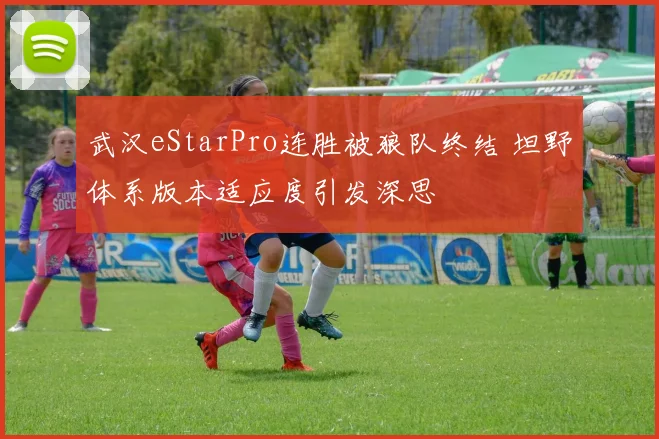 武汉eStarPro连胜被狼队终结 坦野体系版本适应度引发深思